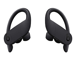 Beats Powerbeats Pro Wireless Earbuds